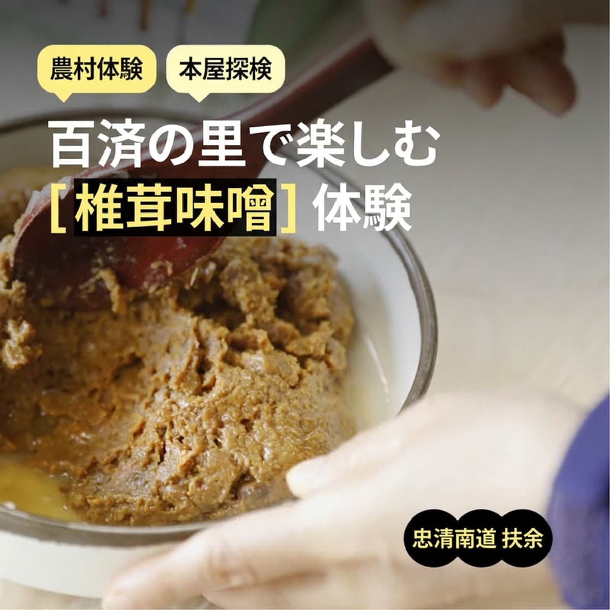 [扶余/当日] 百済文化 農村体験 ㅣ 伝統 椎茸味噌作り ⚱️の写真1