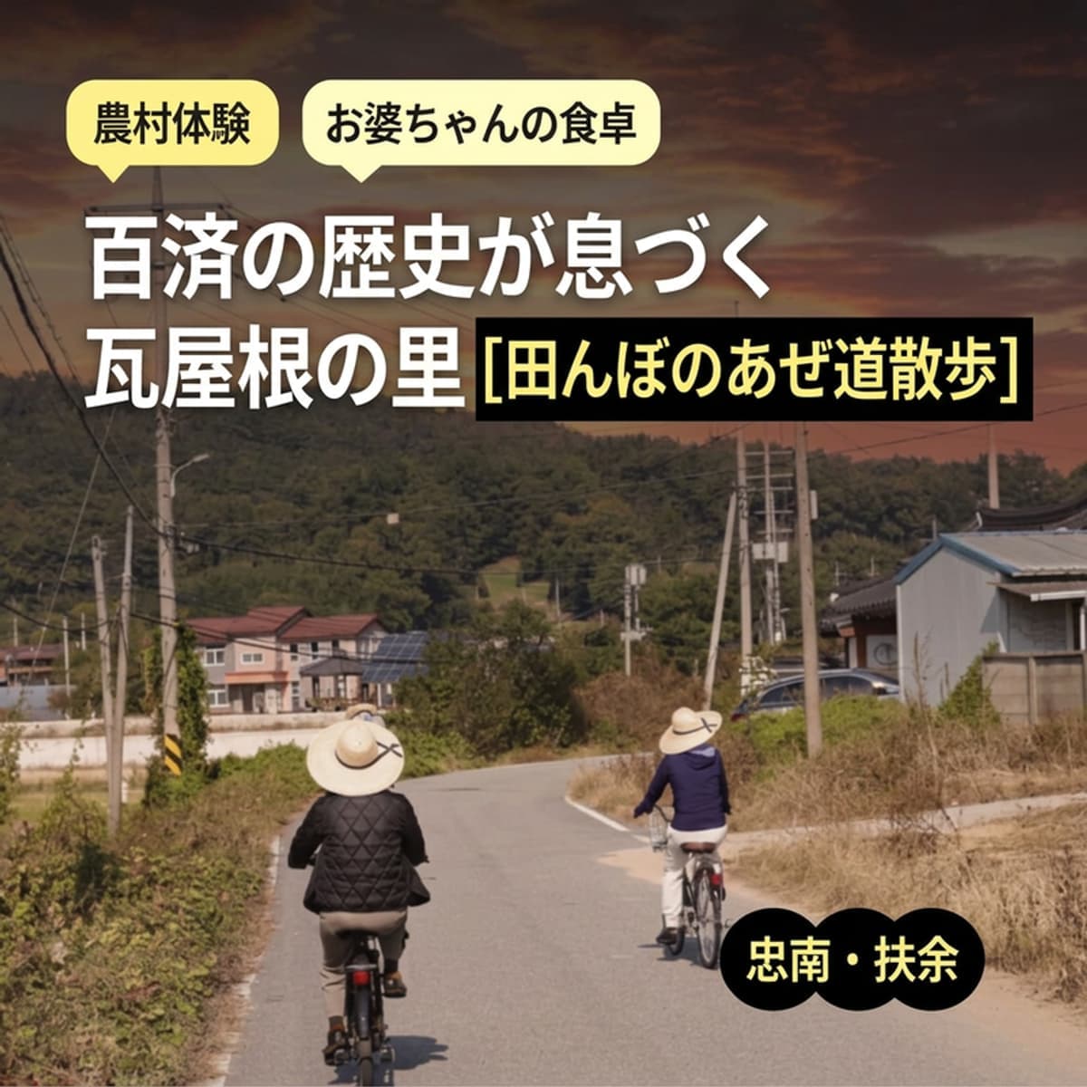 [扶余/1泊] ノントゥロンマシル（田んぼ道散歩）｜おばあちゃんの手料理2食と農村体験 🌾の写真1