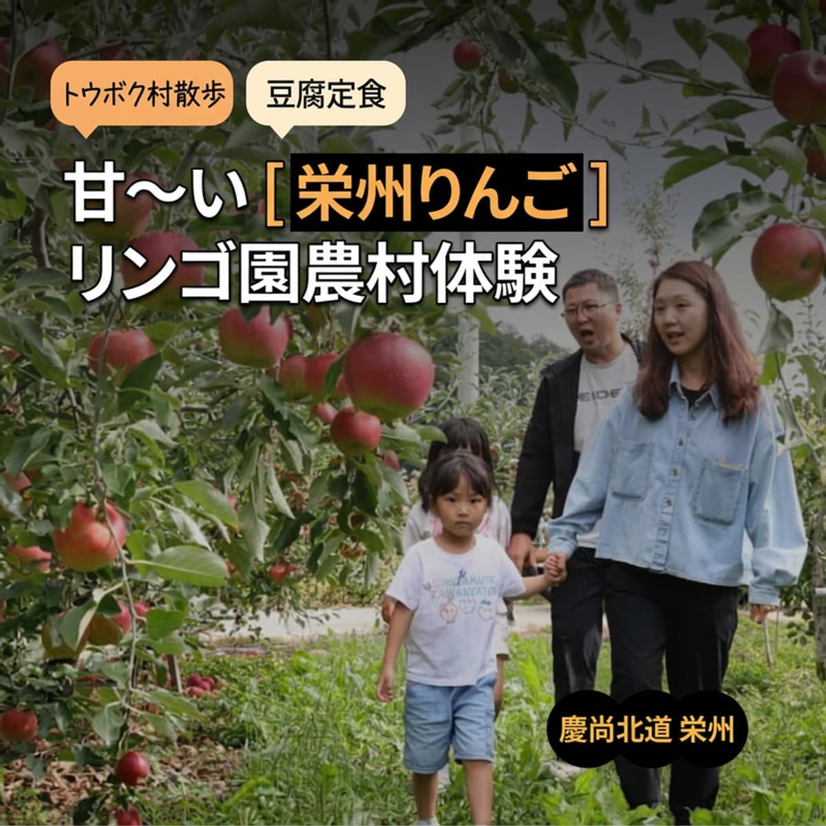 [栄州/1泊] ハンバムシル村のご近所散策、りんごの香りいっぱいの農村体験 🍎の写真1
