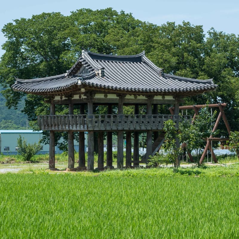 [담양/1박] 대숲마실 담양 패키지여행 ㅣ 죽녹원+메타세콰이아+남도미식🎋 사진 5