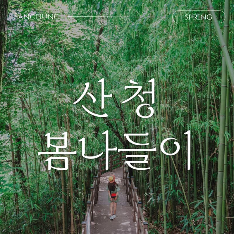 [산청/당일] 따스한 봄날에 떠나는 산청 가정의달 봄나들이💐 사진 1