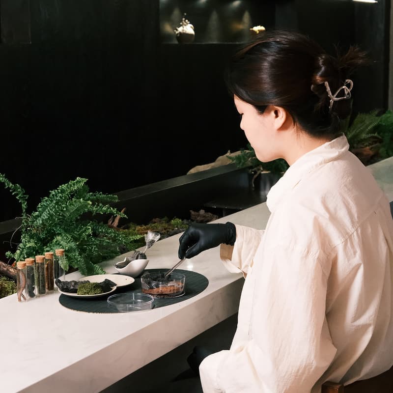 [당일/제주] 먹을 수 있는 숲ㅣ 테라리움 디저트+음료+홀아카이브전시 사진 1