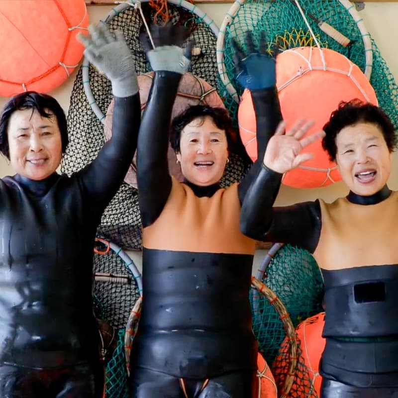 [제주/3일] 세화 해녀학교 교환학생 ㅣ 바당식탁+물질체험+수료증발급🤿🐚 사진 3