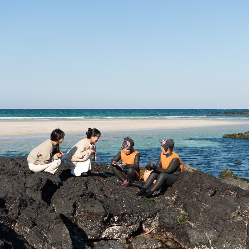 [제주/3일] 세화 해녀학교 교환학생 ㅣ 바당식탁+물질체험+수료증발급🤿🐚 사진 2