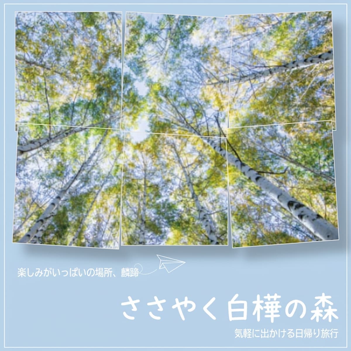[麟蹄/日帰り] ささやく白樺の森の写真1