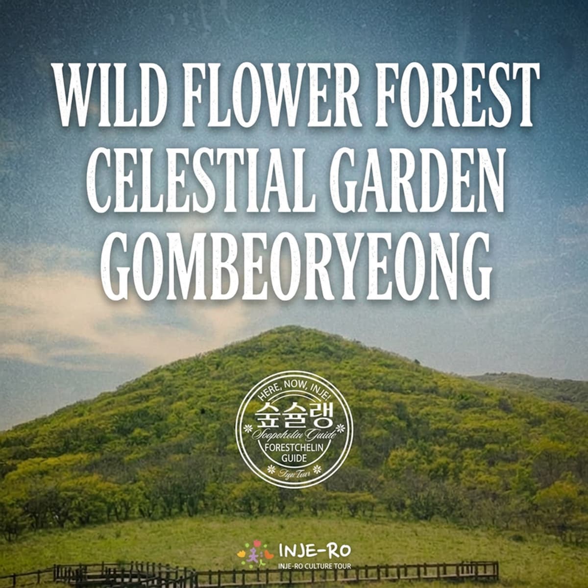 [Inje/Accommodation] Wildflower Forest, Heaven's Garden: Gombeoryeong photo 1