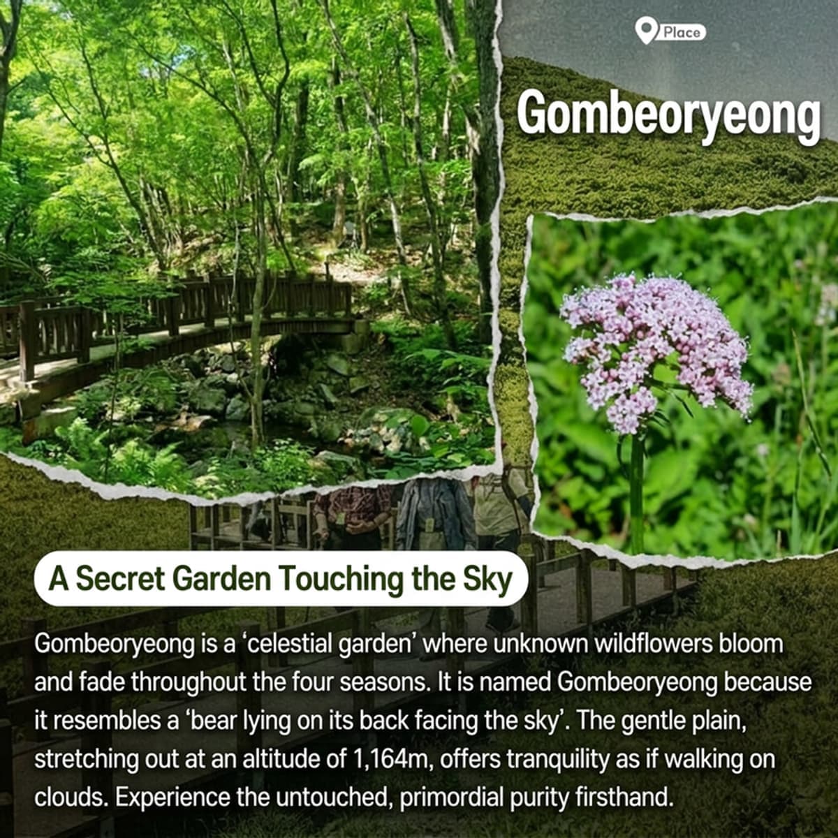[Inje/Accommodation] Wildflower Forest, Heaven's Garden: Gombeoryeong photo 2