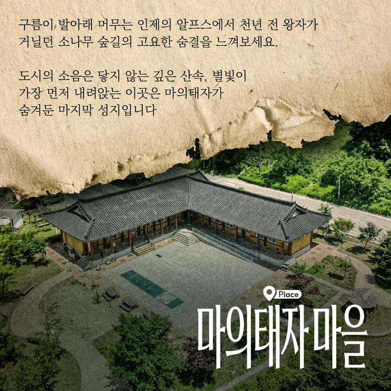 [인제/숙박]야생화의 숲 천상의 화원, 곰배령 사진 3