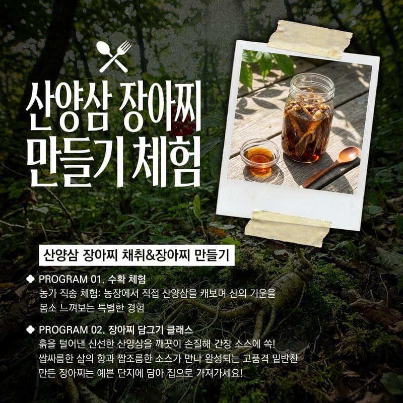 [인제/숙박]야생화의 숲 천상의 화원, 곰배령 사진 4