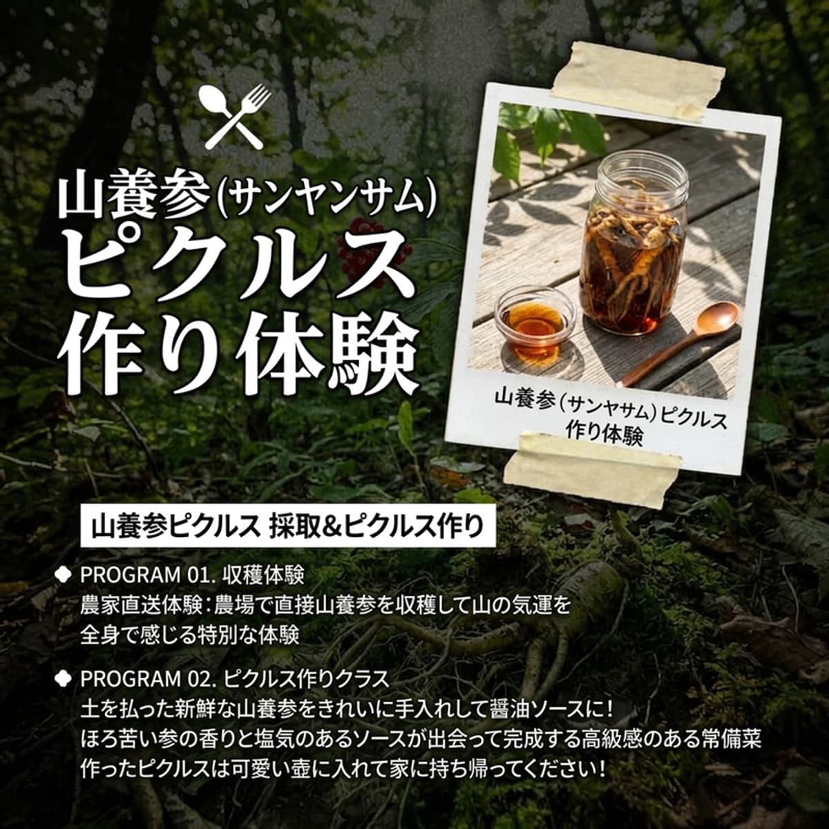 [麟蹄(インジェ)/宿泊]野生花の森、天上の花園、ゴンベリョン(熊腹嶺)の写真4