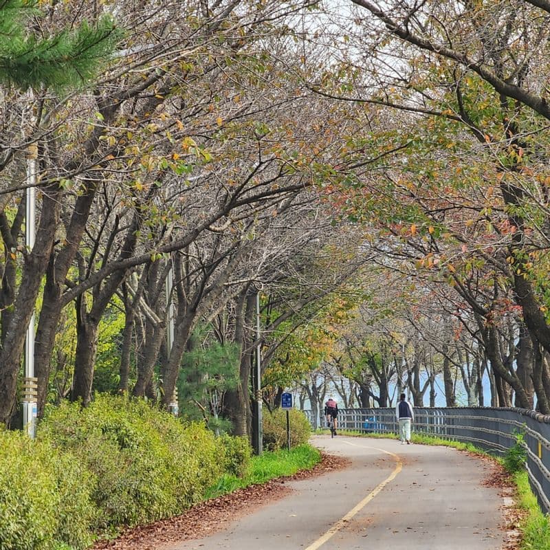 [당일/양평] 10km 물소리길, 걷고 먹고 쉬고 놀고 사진 3