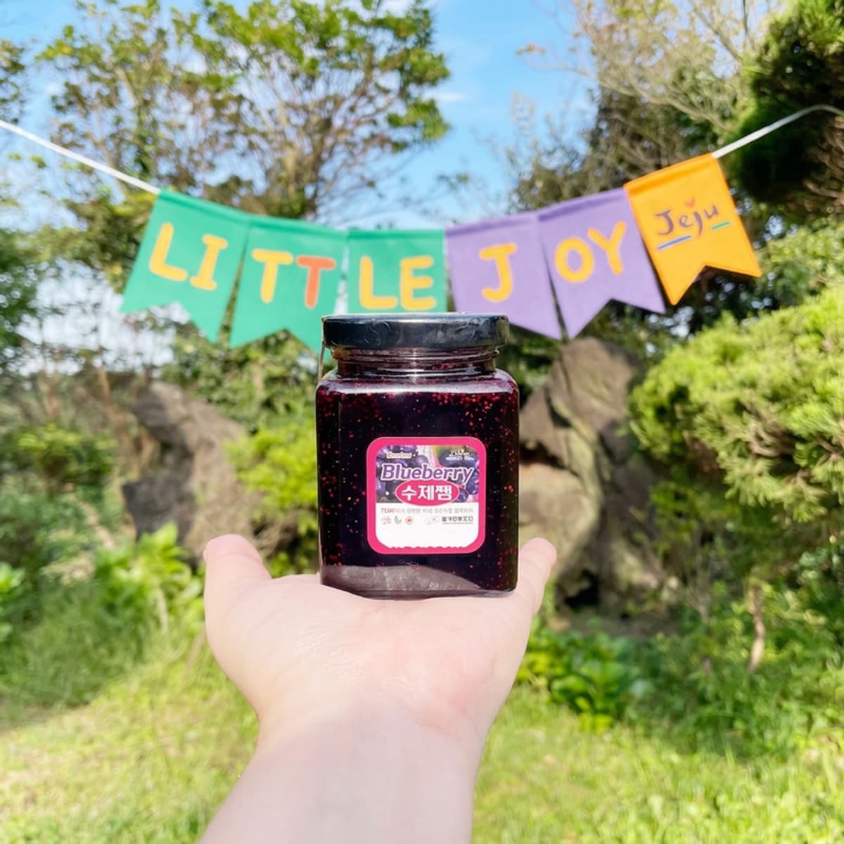 [Seogwipo] Picnic in the Garden + Making Blueberry Jam photo 4