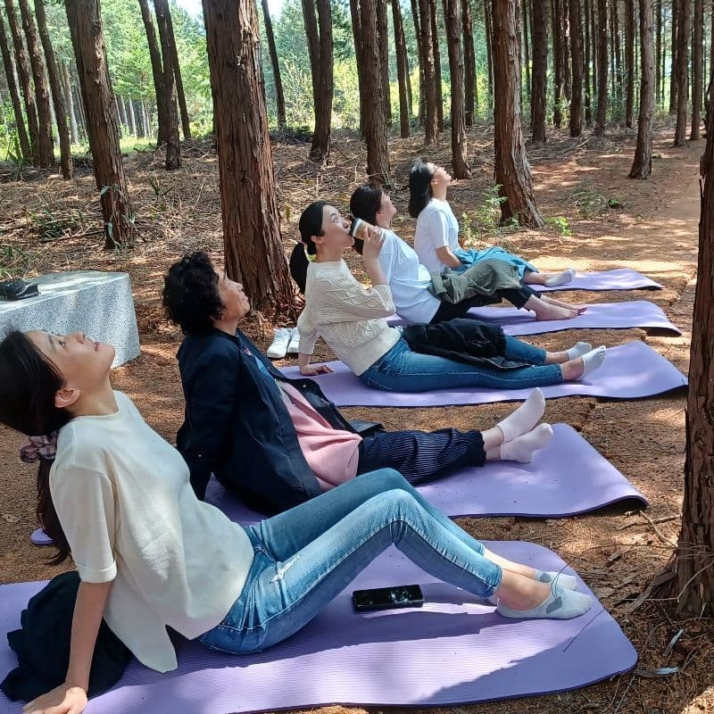 [1박/고창] 쉼드림, 편백나무 숲+족욕+불멍+가드닝 사진 2