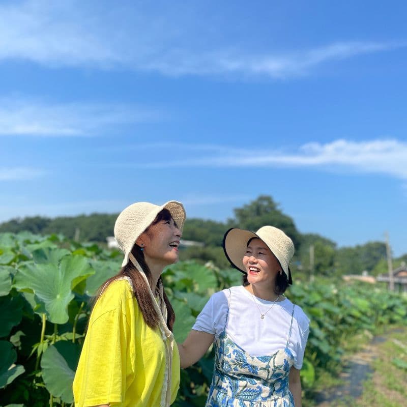 [1박/김제] 연팜, 연잎밥체험+식사2끼+찜질+사찰투어 사진 2