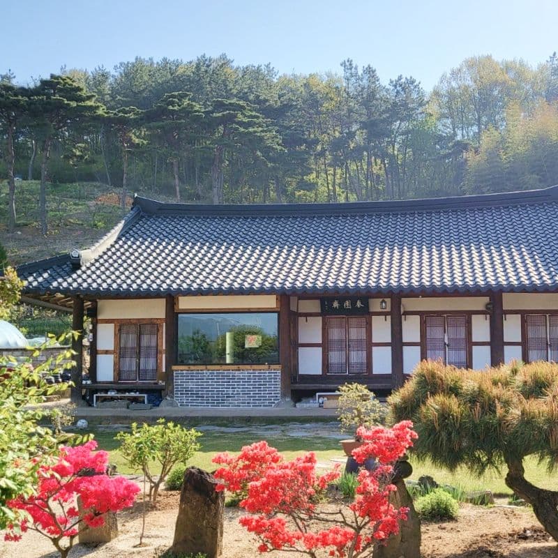 [고창] 애견동반+한옥스테이+픽업 사진 1