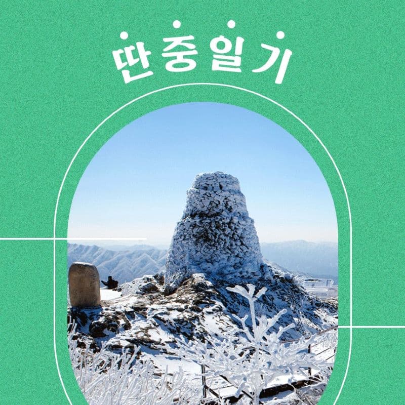 딴중일기 원주편 (딴 세상을 꿈꾸는 중년들의 일터기획) 사진 1