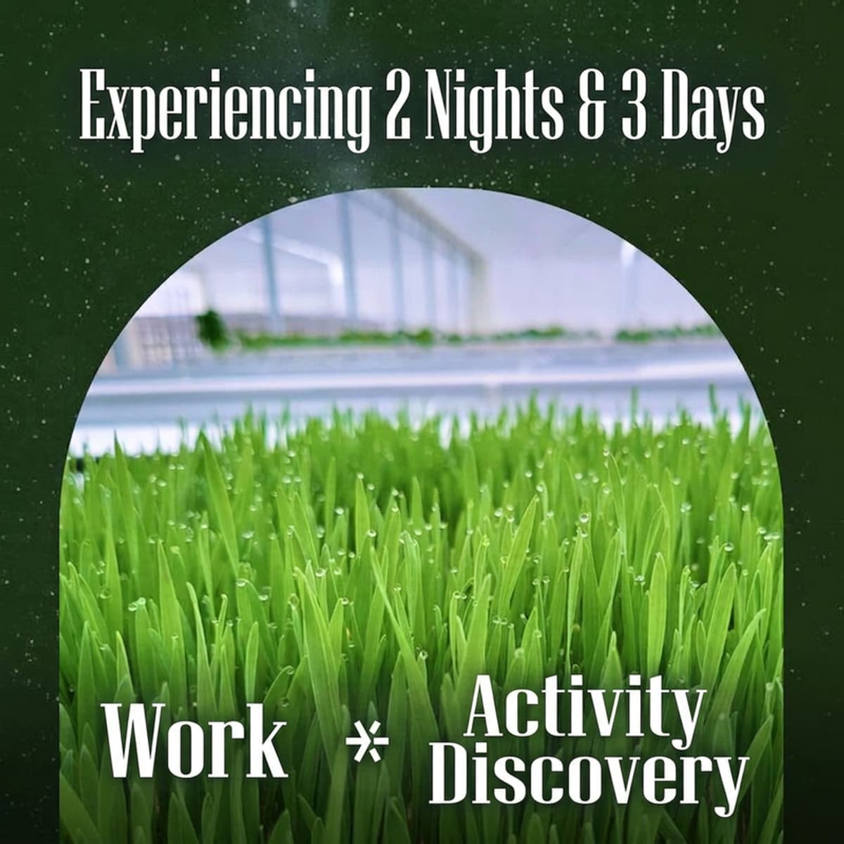 [Iksan] '5 Do 2 Chon' Smart Farm Exploration Program photo 3