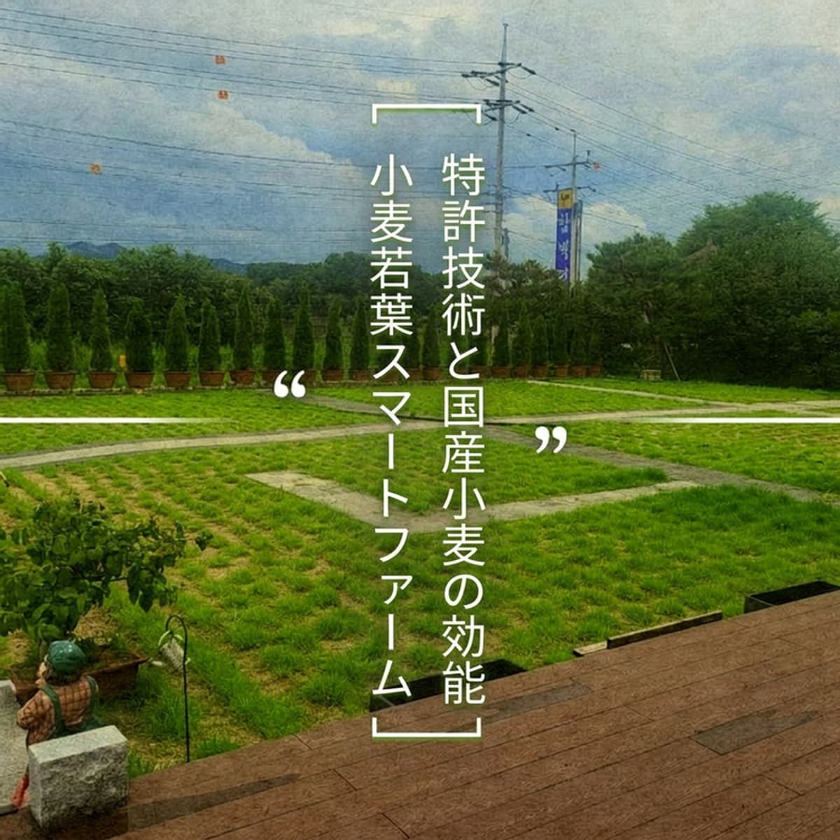 [益山] 「5都2村」スマートファーム探索コースの写真4