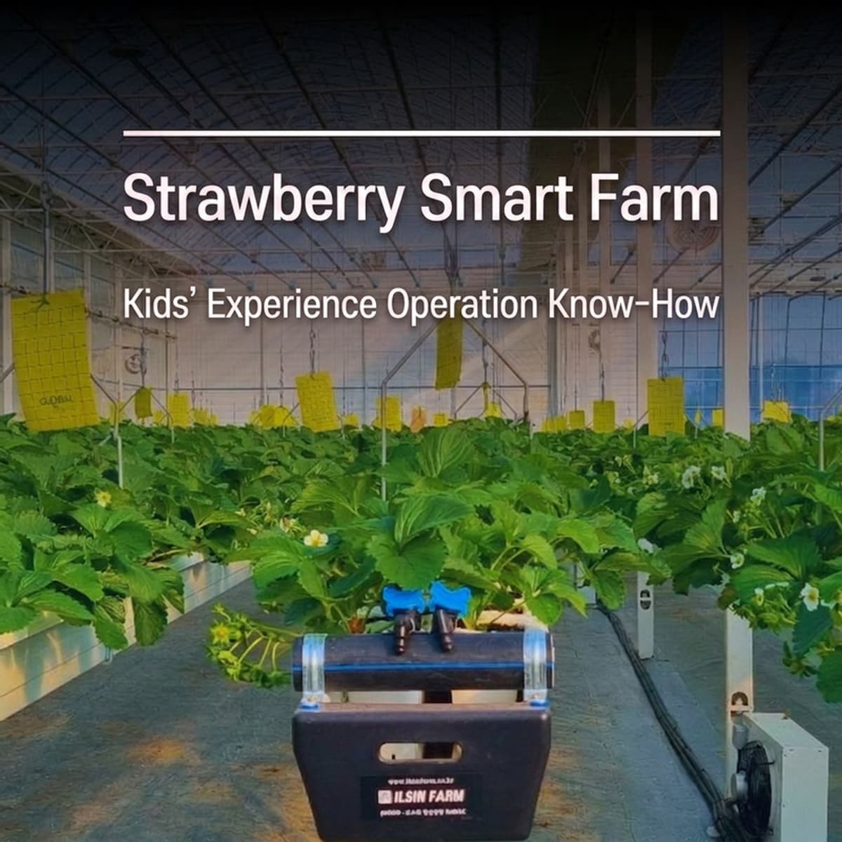 [Iksan] '5 Do 2 Chon' Smart Farm Exploration Program photo 5