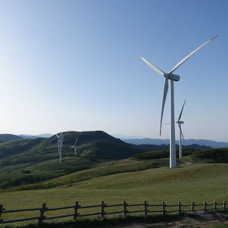 [평창] 명소 뚜벅이 여행 : 오대산과 삼양목장 사진 5