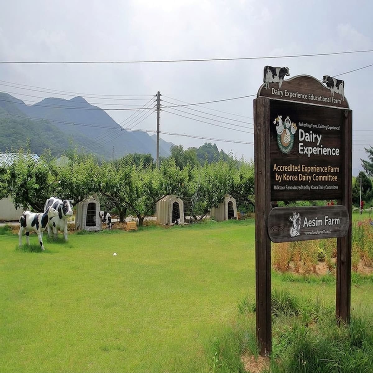 One-Day Class 1+1 Sunday (Atelier Experience + Dairy Farm, Cheese Experience) photo 1