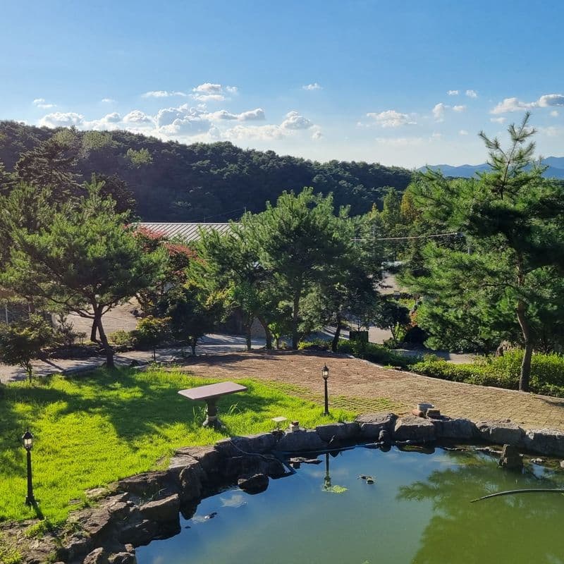 [고창/1박]반려견동반 자연속 힐링 +수제건강간식 체험 사진 2