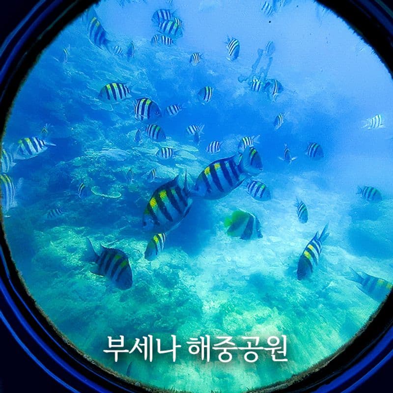 [크루즈고객 전용 기항지 투어] 일본 오키나와 사진 4