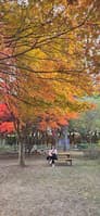 변은숙