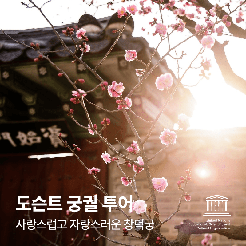 [당일/서울] 창덕궁, 왕이 사랑한 궁궐 사진 1