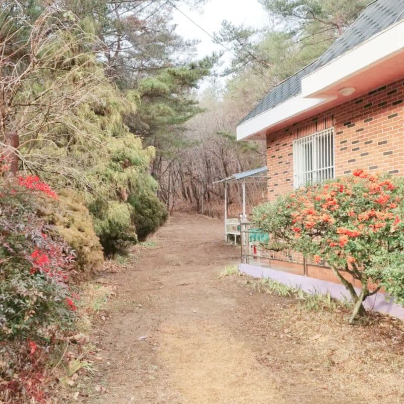 [울주] 와나스타, 편안한 숲속 독채 민박 사진 1