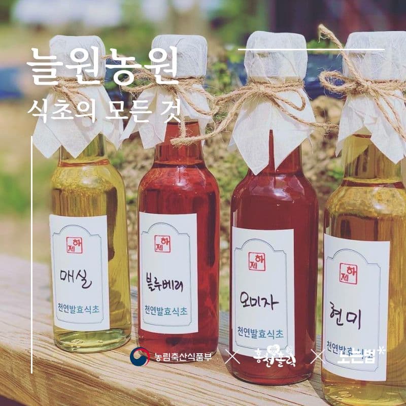 [홍천] 늘원농원, 발효식초시음 or 발효식초제작 사진 1
