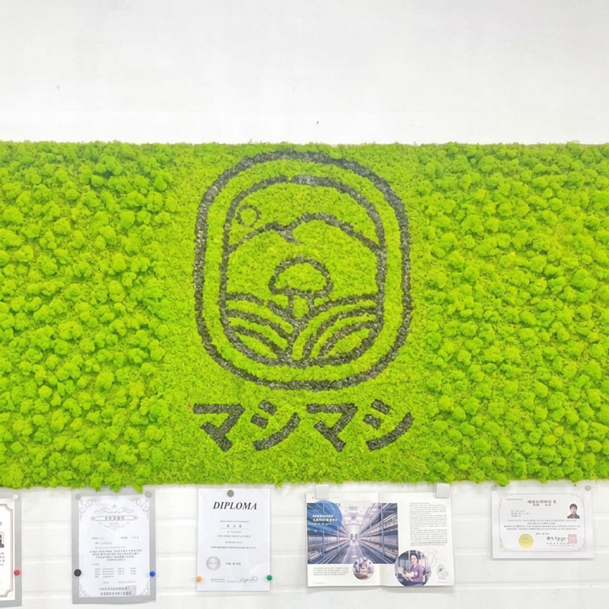 [当日/羅州] 旬の農産物収穫体験+クッキングクラスの写真1