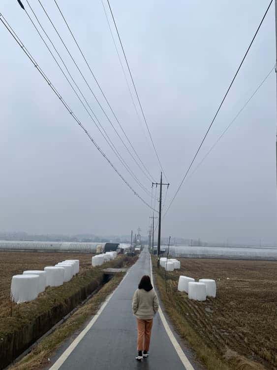 feed image 4