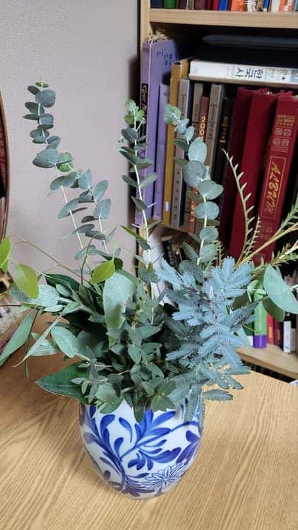 feed image 1