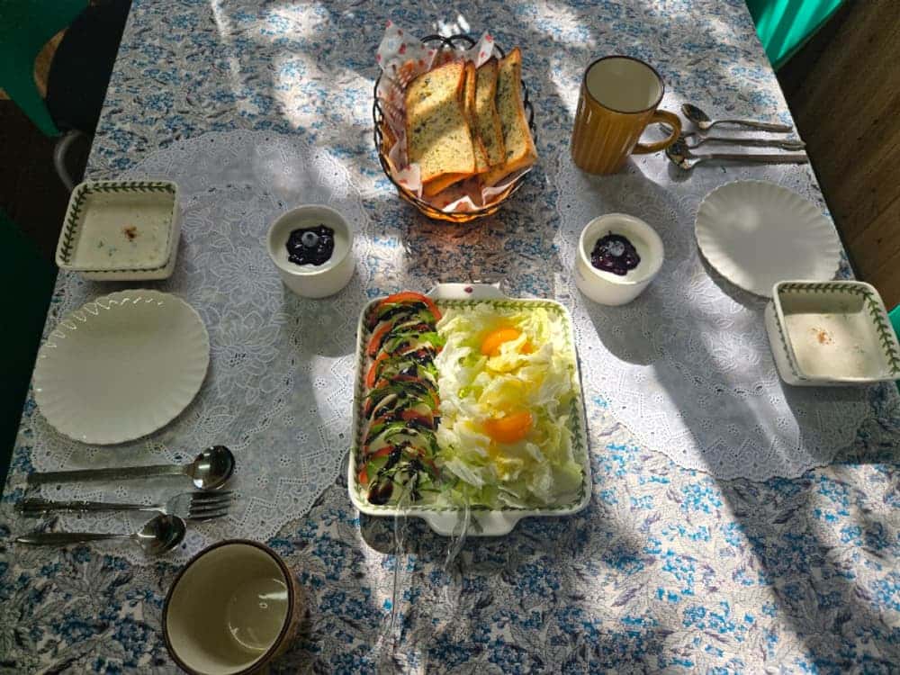 feed image 1