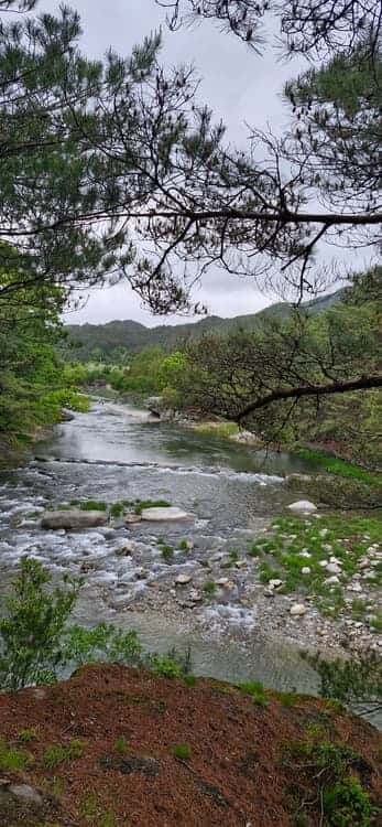 feed image 4