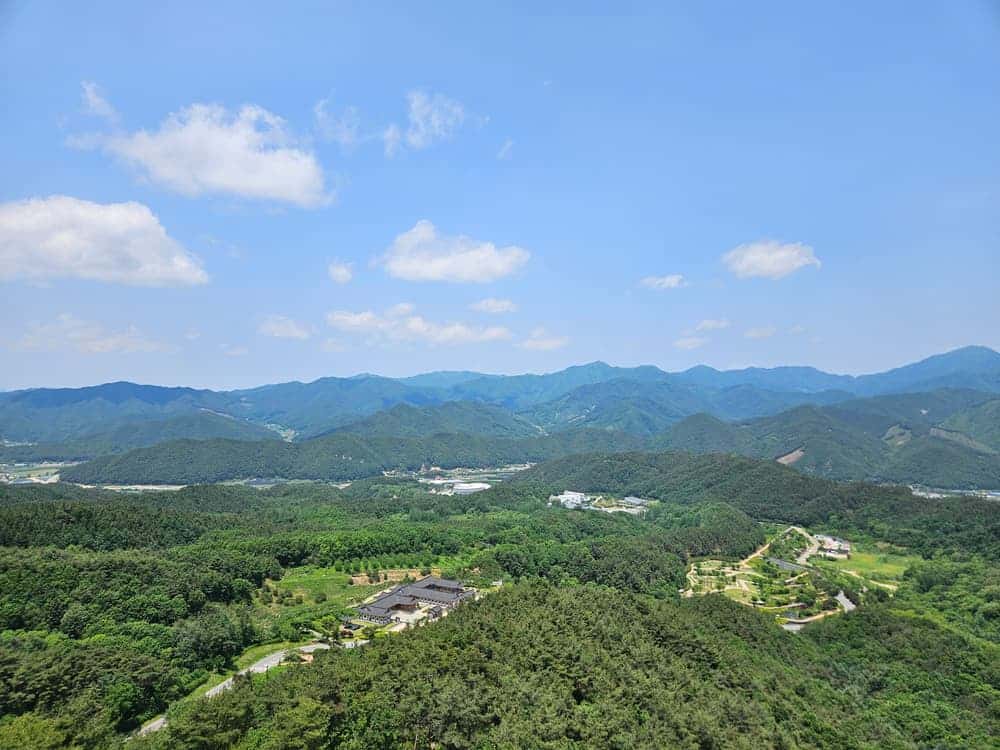 feed image 1