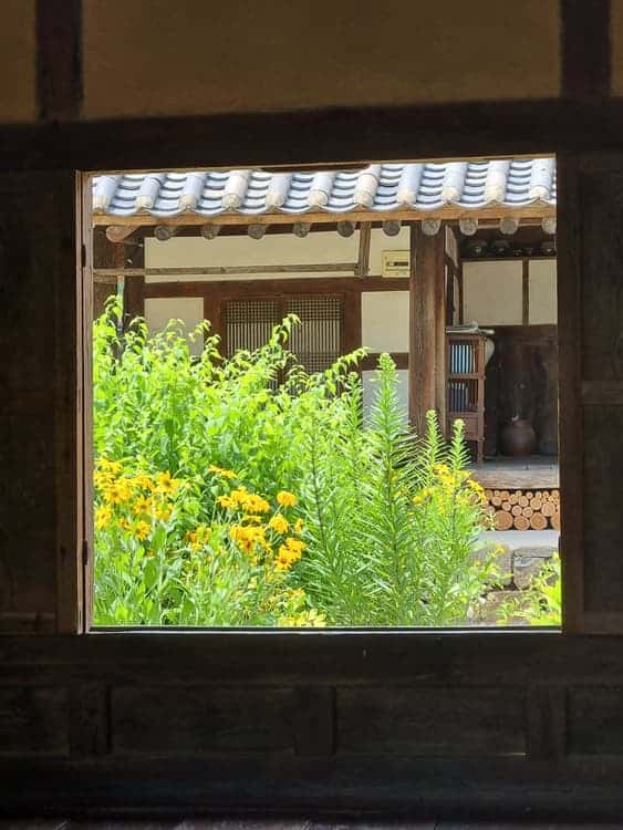feed image