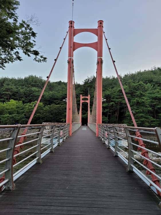 feed image 3