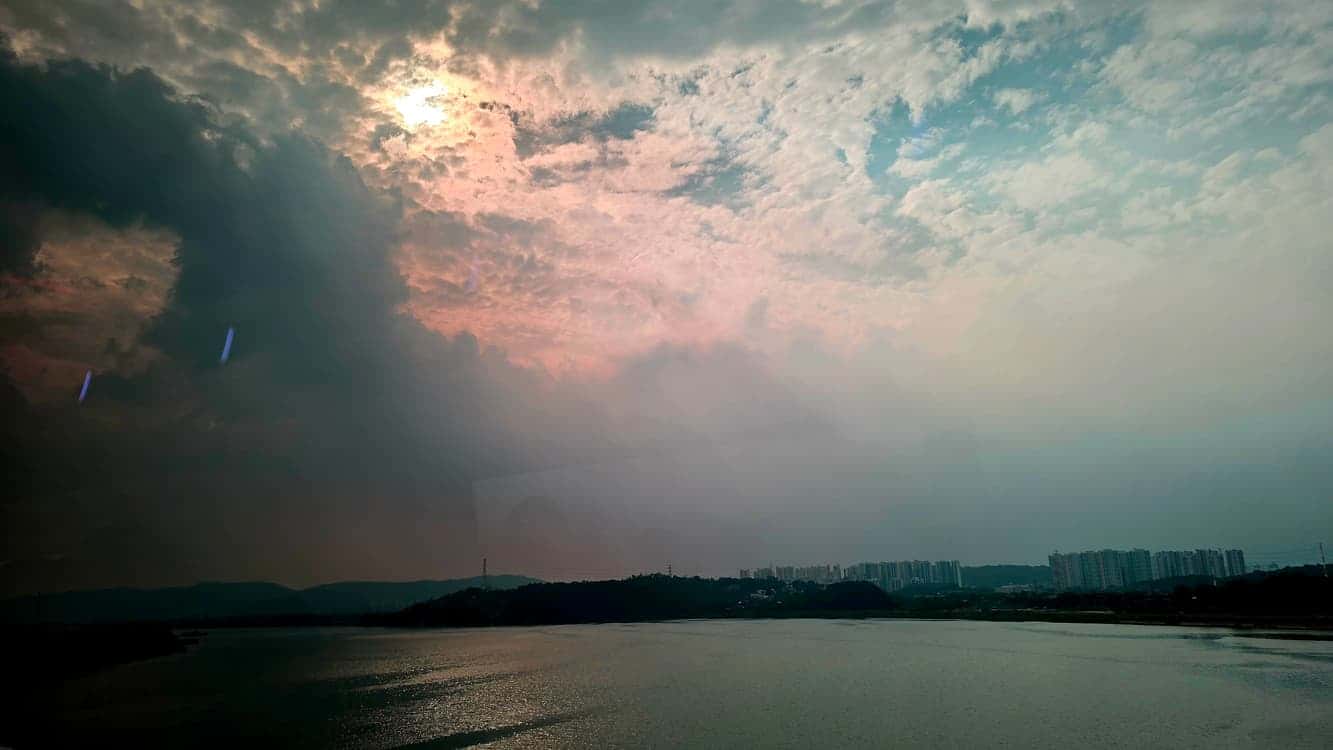 feed image 2