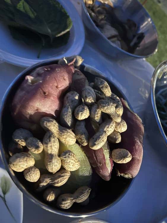 feed image 4