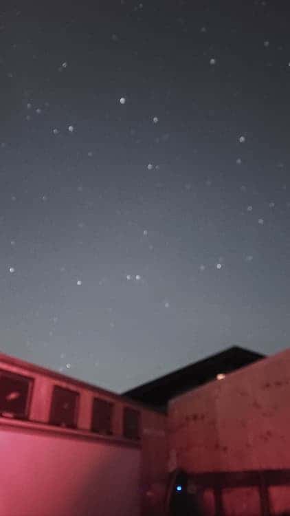 feed image 1