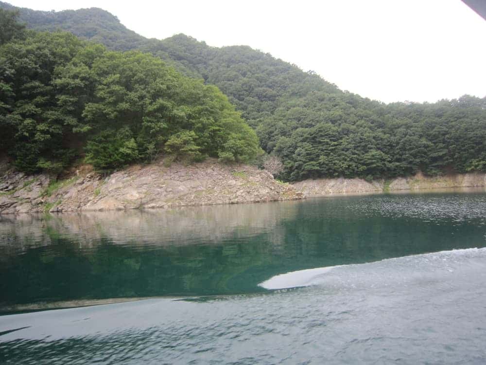 feed image 1