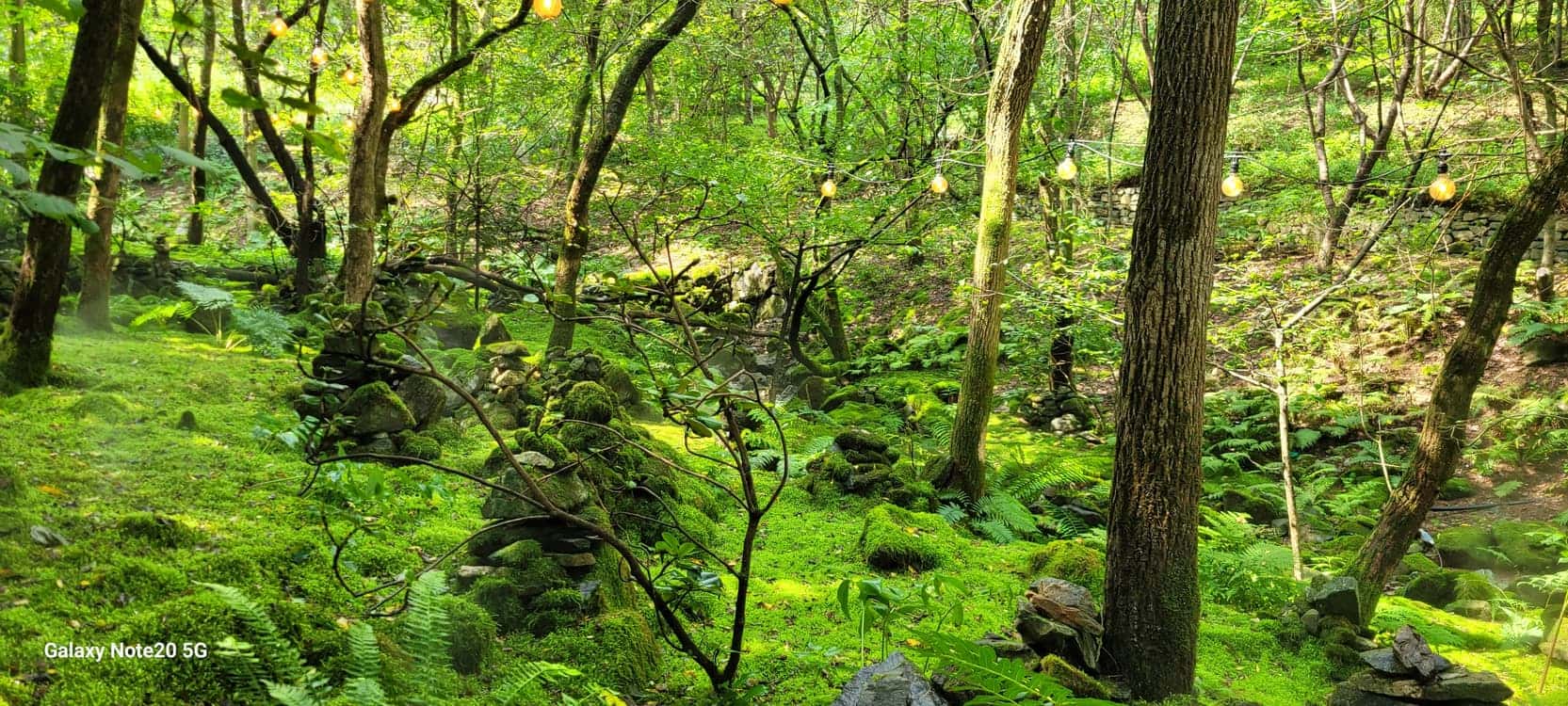 feed image 4