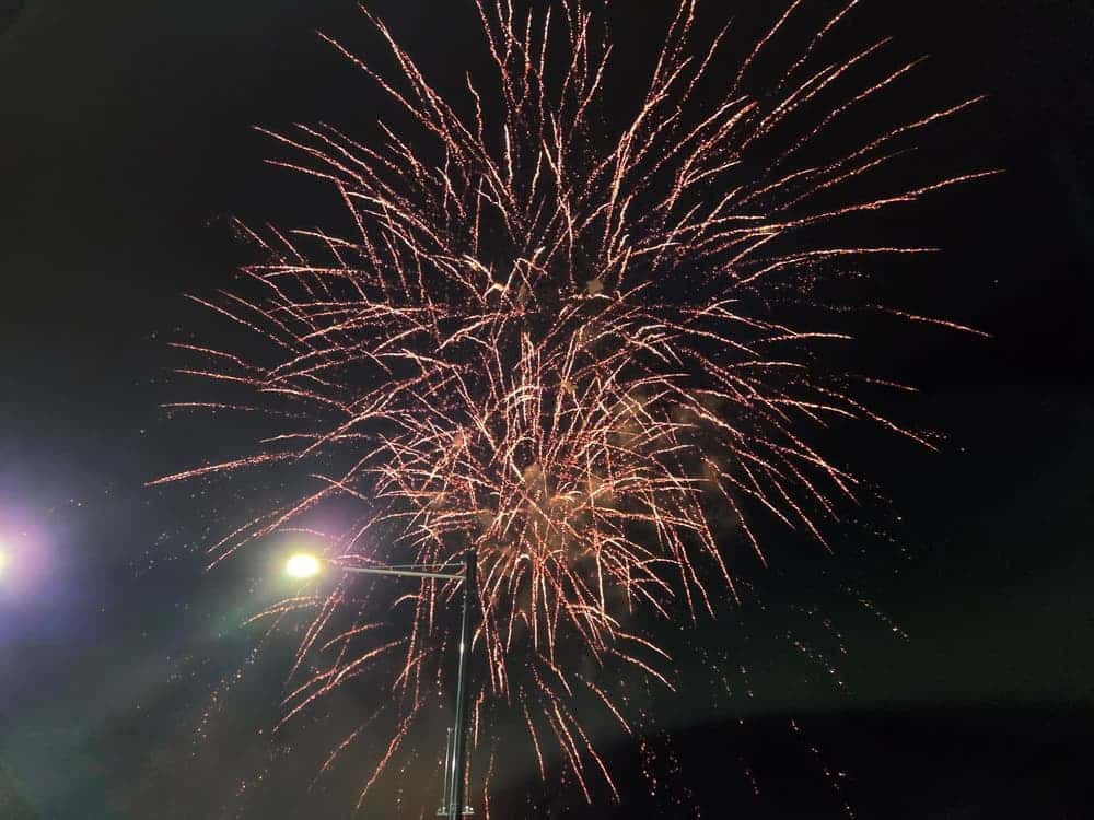 feed image