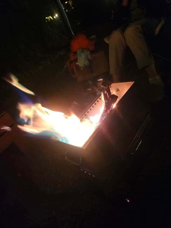 feed image 1