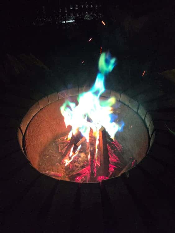 feed image 3