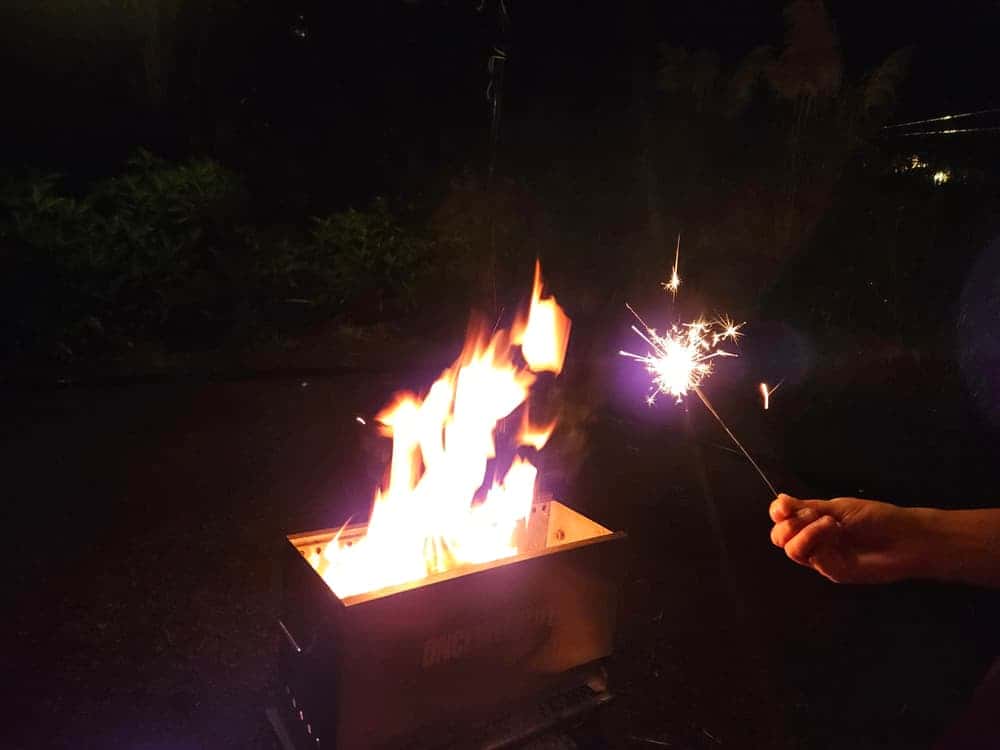 feed image 4