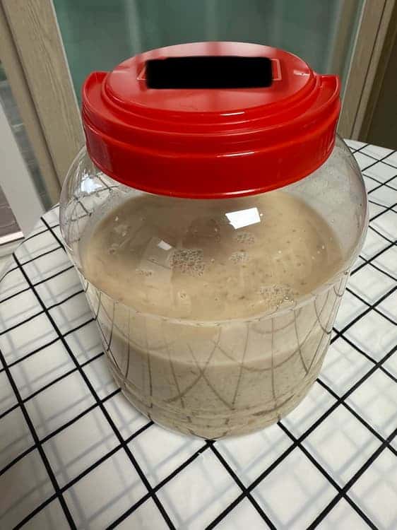 feed image 2