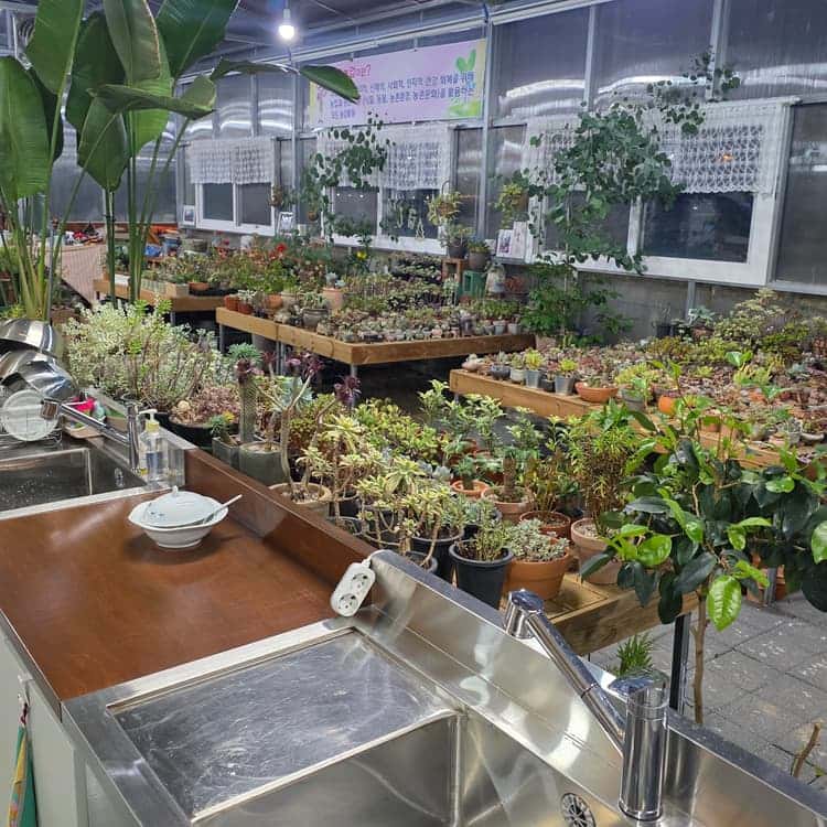 feed image 3